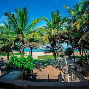 Lankahuts , Negombo Sri Lanka